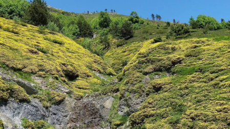 Fotos de la primavera enviadas por los lectores de diariodenavarra.es