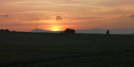 Fotos de la primavera enviadas por los lectores de diariodenavarra.es