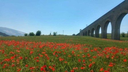 Fotos de la primavera enviadas por los lectores de diariodenavarra.es