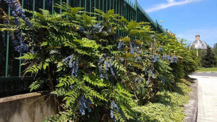 Fotos de la primavera enviadas por los lectores de diariodenavarra.es