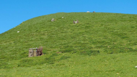 Fotos de la primavera enviadas por los lectores de diariodenavarra.es