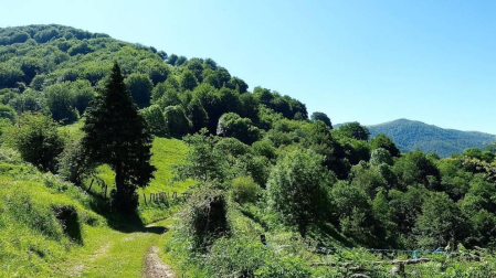 Fotos de la primavera enviadas por los lectores de diariodenavarra.es