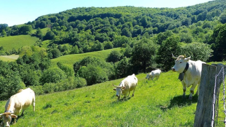 Fotos de la primavera enviadas por los lectores de diariodenavarra.es