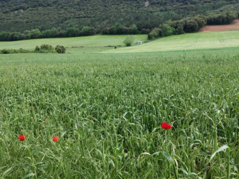Fotos de la primavera enviadas por los lectores de diariodenavarra.es