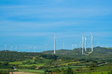 Fotos de la primavera enviadas por los lectores de diariodenavarra.es