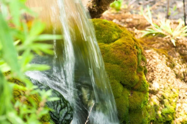 Fotos de la primavera enviadas por los lectores de diariodenavarra.es