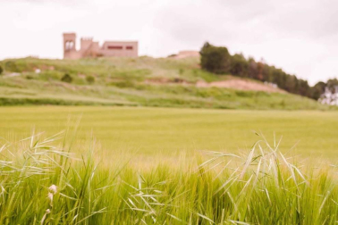 Fotos de la primavera enviadas por los lectores de diariodenavarra.es