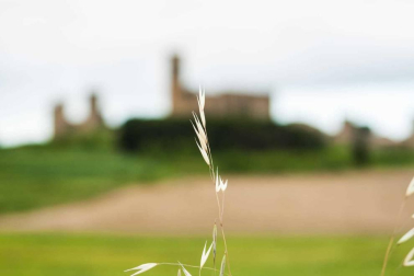 Fotos de la primavera enviadas por los lectores de diariodenavarra.es