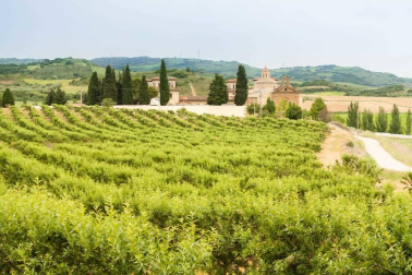 Fotos de la primavera enviadas por los lectores de diariodenavarra.es