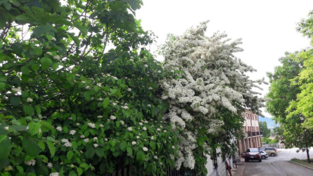 Fotos de la primavera enviadas por los lectores de diariodenavarra.es