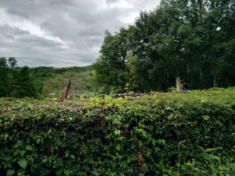 Fotos de la primavera enviadas por los lectores de diariodenavarra.es
