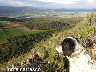 Fotos de la primavera enviadas por los lectores de diariodenavarra.es