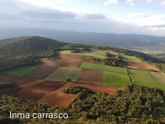 Fotos de la primavera enviadas por los lectores de diariodenavarra.es