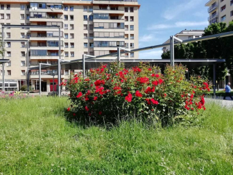 Fotos de la primavera enviadas por los lectores de diariodenavarra.es