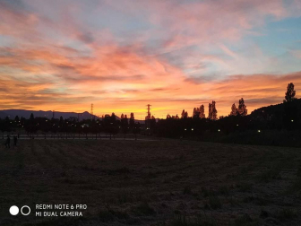 Fotos de la primavera enviadas por los lectores de diariodenavarra.es