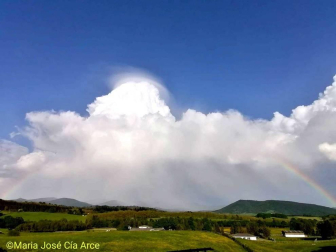 Fotos de la primavera enviadas por los lectores de diariodenavarra.es