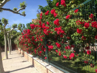 Fotos de la primavera enviadas por los lectores de diariodenavarra.es