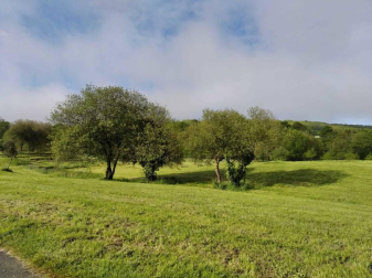 Fotos de la primavera enviadas por los lectores de diariodenavarra.es