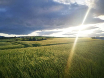 Fotos de la primavera enviadas por los lectores de diariodenavarra.es