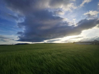 Fotos de la primavera enviadas por los lectores de diariodenavarra.es