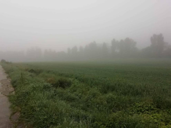 Fotos de la primavera enviadas por los lectores de diariodenavarra.es