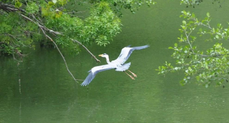 Fotos de la primavera enviadas por los lectores de diariodenavarra.es