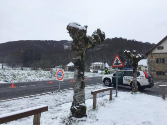 Imágenes de las distintas localidades de Navarra que amanecieron nevadas este martes, 31 de marzo de 2020.