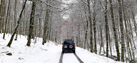 Imágenes de las distintas localidades de Navarra que amanecieron nevadas este martes, 31 de marzo de 2020.