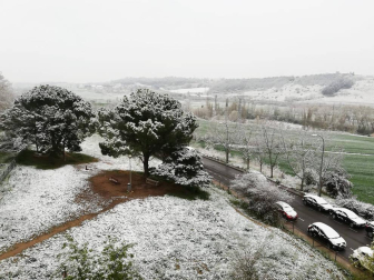 Imágenes de las distintas localidades de Navarra que amanecieron nevadas este martes, 31 de marzo de 2020.