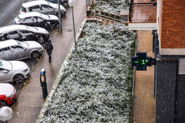 Imágenes de las distintas localidades de Navarra que amanecieron nevadas este martes, 31 de marzo de 2020.