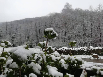 Imágenes de las distintas localidades de Navarra que amanecieron nevadas este martes, 31 de marzo de 2020.