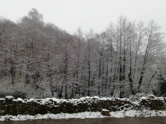 Imágenes de las distintas localidades de Navarra que amanecieron nevadas este martes, 31 de marzo de 2020.