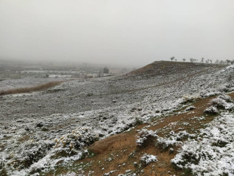 Imágenes de las distintas localidades de Navarra que amanecieron nevadas este martes, 31 de marzo de 2020.