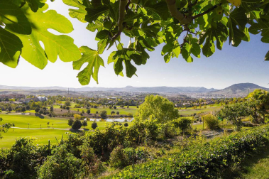 Exclusivo chalet con terreno de 1.600 m2 en las casitas del Golf de Gorraiz, remanso de paz y calidad de vida. A cinco minutos de Pamplona y rodeado de todos los servicios e instalaciones. Su jardín envuelve la vivienda de líneas sencillas diseñada con gran pragmatismo y confort. Magníficamente aislada, construida con materiales de alta calidad y espacios generosos llenos de luz. Tiene ascensor, terrazas, jardín, garaje, txoko, vistas: todo a lo grande, y cuenta con 5 circuitos de calefacción para un mesurado consumo de energía.
Una venta al uso, o una oportunidad de comprar con la ayuda de una permuta por un piso de categoría en el centro de Pamplona.