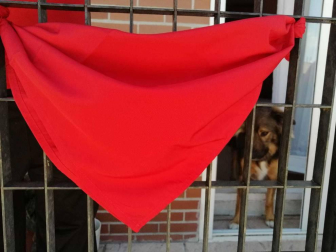 El pañuelo de San Fermín este sábado en todas las ventanas de Navarra. Esa es la idea con la que la capilla de San Fermín hace un llamamiento con motivo del cuarto peldaño de la escalera, este 4 de abril,