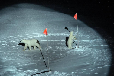 Recopilación de fotos premiadas en el 'World Press Photo' 2020.