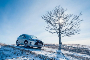 Fotos de Lexus en Siberia
