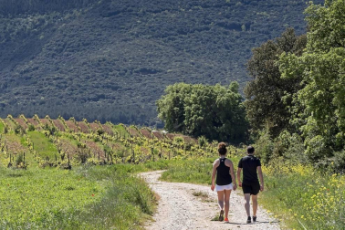 Imágenes de la jornada del 2 de mayo, en la que los navarros pueden salir a la calle a pasear y hacer deporte entre las 6 y las 10 de la mañana, y las 20 y las 23 de la noche.