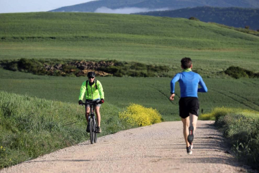 Imágenes de la jornada del 2 de mayo, en la que los navarros pueden salir a la calle a pasear y hacer deporte entre las 6 y las 10 de la mañana, y las 20 y las 23 de la noche.