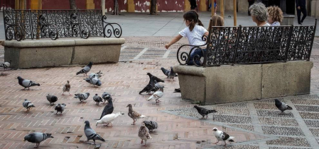 Este lunes, 11 de mayo de 2020, el 51% de la población española pasó a la fase 1 de la desescalada en la pandemia dle coronavirus, recuperando poco a poco la "nueva normalidad" tras la epidemia sufrida.
