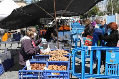 Fotografías de la reapertura del mercadillo de Landaben tras dos meses de cierre obligado