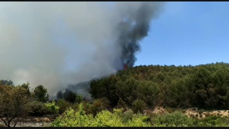 Fallece un hombre por quemaduras en un incendio forestal en Los Arcos