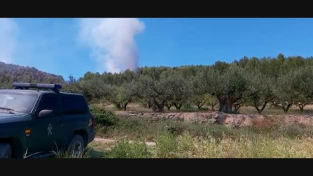 Labores de extinción del incendio de Los Arcos en el que ha muerto un hombre