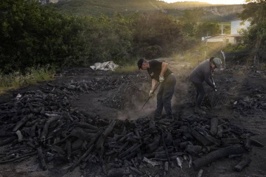 Sin las prisas de otros años por el paréntesis en la actividad de restaurantes y asaderos, Miguel Lander Asarta hace carbón con ajuste a una tradición heredada