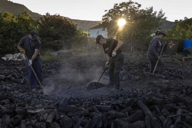 Sin las prisas de otros años por el paréntesis en la actividad de restaurantes y asaderos, Miguel Lander Asarta hace carbón con ajuste a una tradición heredada