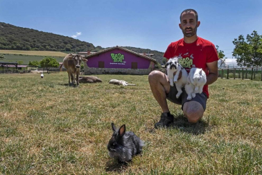 En el centro de Lezaun se acogen y se atienden animales en riesgo, abandono, maltrato o descomisados.