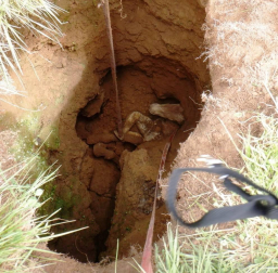 Un potro atrapado en una sima de tres metros en las inmediaciones del refugio de Olorón de Isaba  fue rescatado este sábado, sobre las doce y media del mediodía.