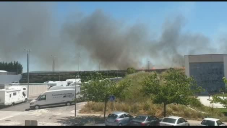 Vídeo de un incendio forestal en Sarriguren