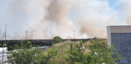 Las llamas afectaron a un campo cosechado quemado la paja restante y ocasionando una columna de humo que alertó este domingo, 21 de junio, a los vecinos de Sarriguren.