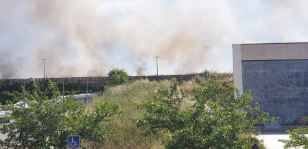 Las llamas afectaron a un campo cosechado quemado la paja restante y ocasionando una columna de humo que alertó este domingo, 21 de junio, a los vecinos de Sarriguren.